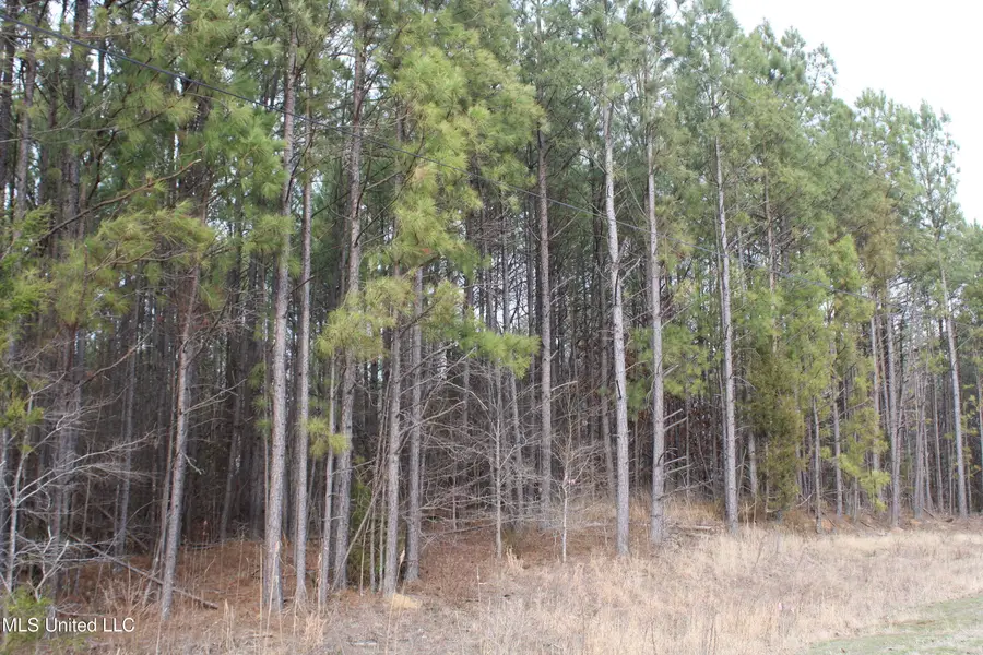 31 American Cove, Byhalia, MS 38611 - #3