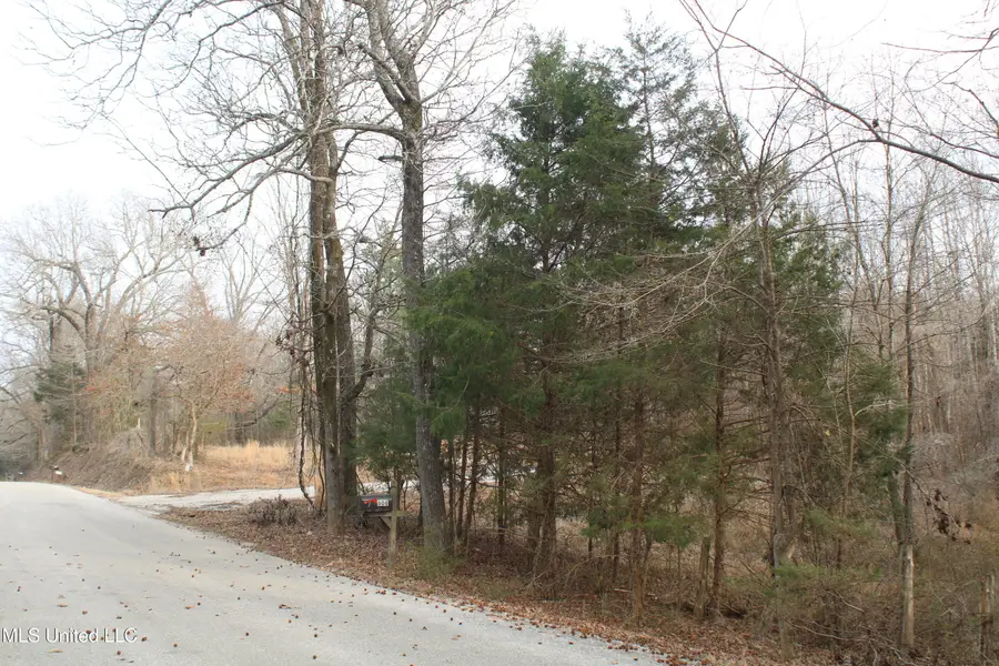 797 Gardner Road, Holly Springs, MS 38635 - #3