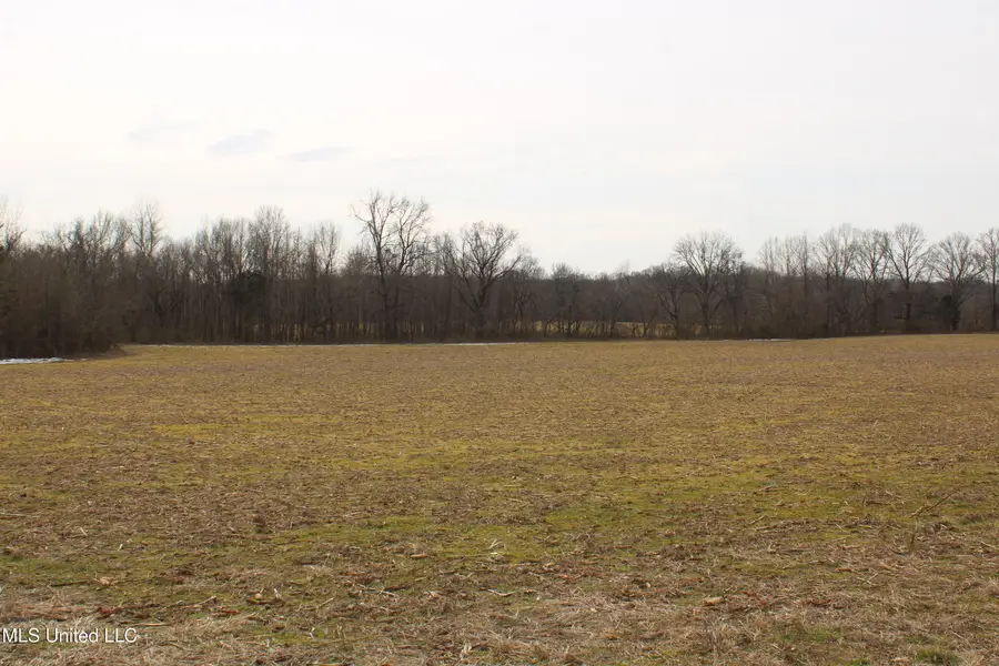 3900 Highway 301, Lake Cormorant, MS 38641 - #3