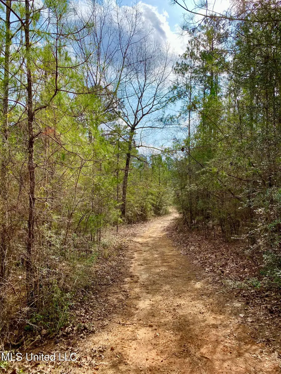 167 Bear Drive, Carriere, MS 39426 - #2