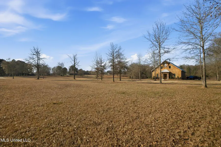 4 Hughes Road, Seminary, MS 39479 - #2