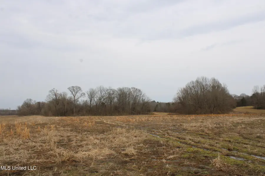 4325 Highway 301, Lake Cormorant, MS 38641 - #3