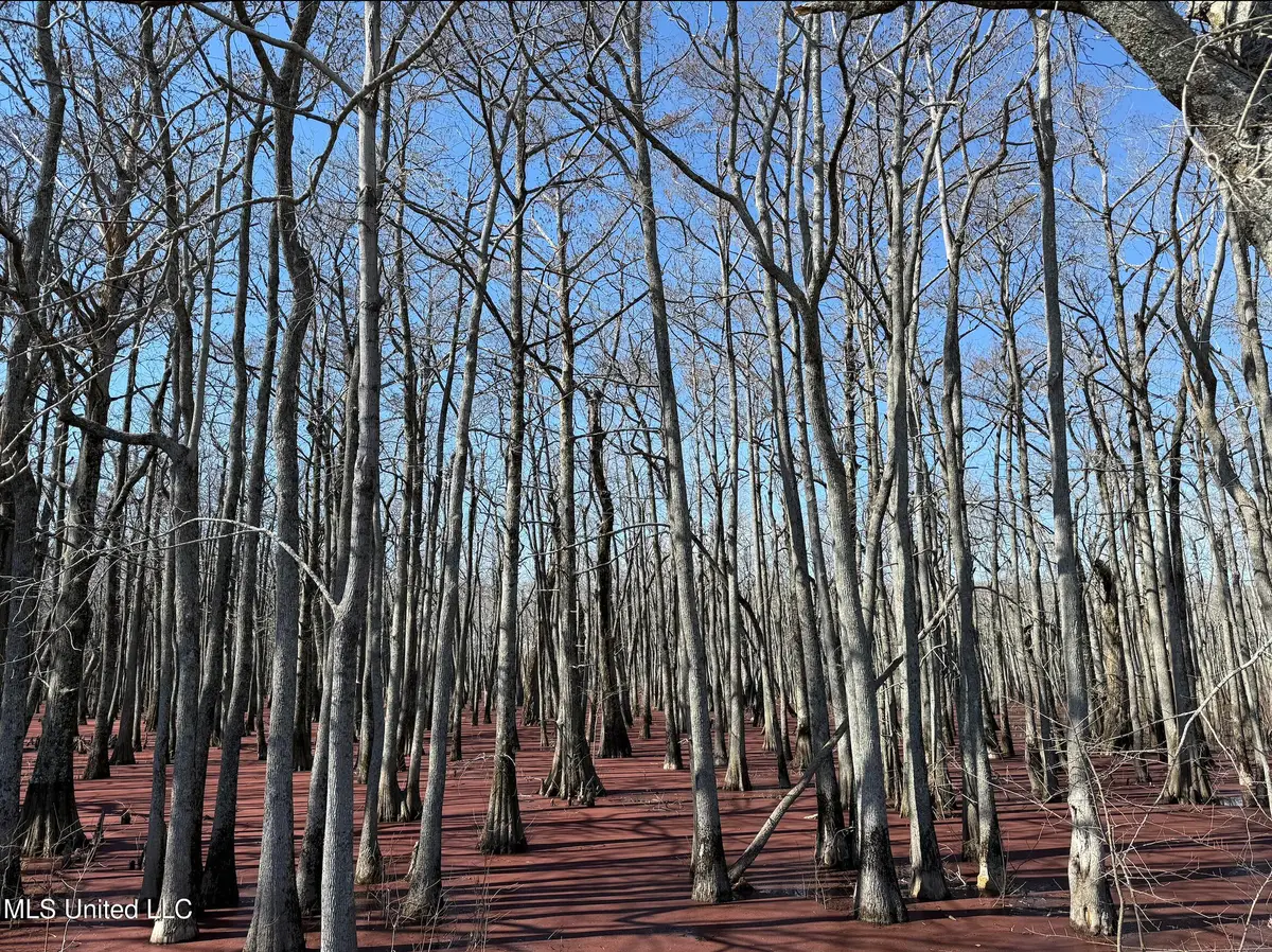 County Road 526, Minter City, MS 38944 - #1