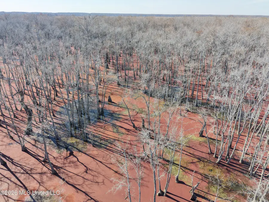 County Road 526, Minter City, MS 38944 - #2