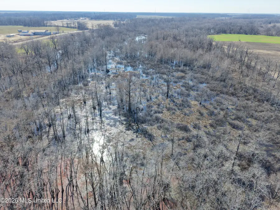 County Road 526, Minter City, MS 38944 - #3