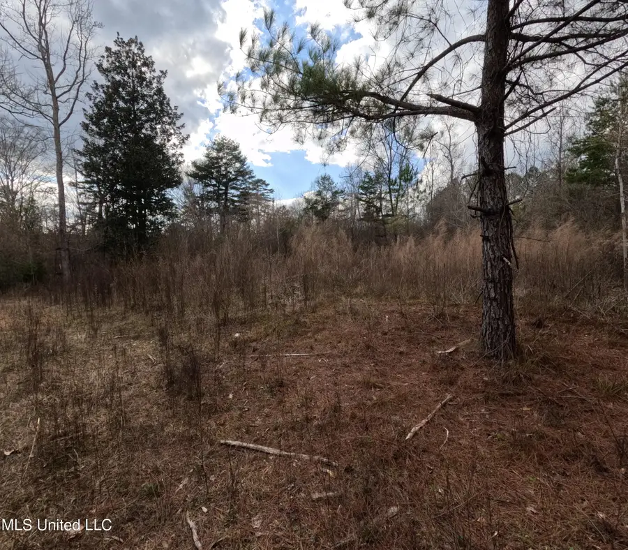 Saint John Road Road, Braxton, MS 39044 - #3