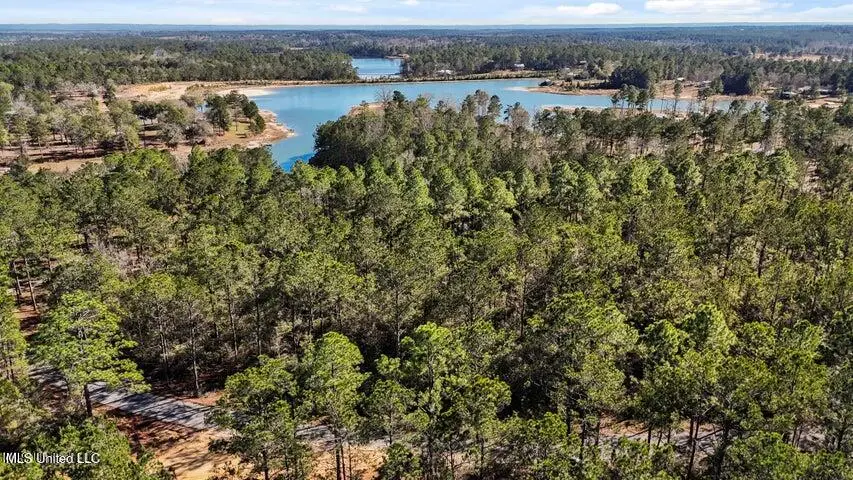 Lot 17 Mitchell Road, Leakesville, MS 39451 - #3