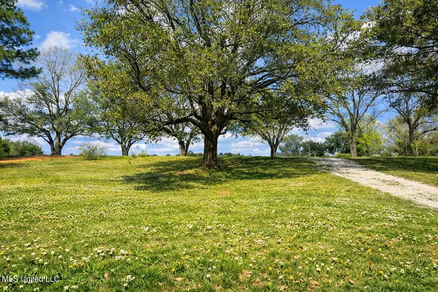 2203 Cooks Corner Road, Lucedale, MS 39452 - #3