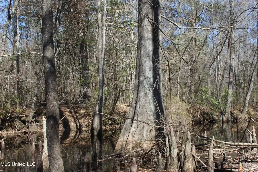 2194 Brandi Road, Summit, MS 39666 - #2