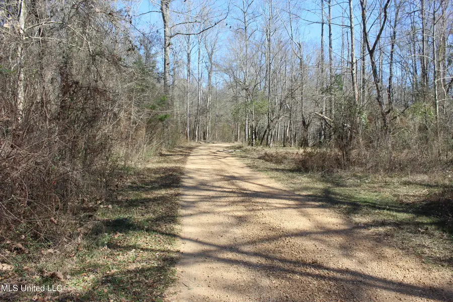 2194 Brandi Road, Summit, MS 39666 - #3
