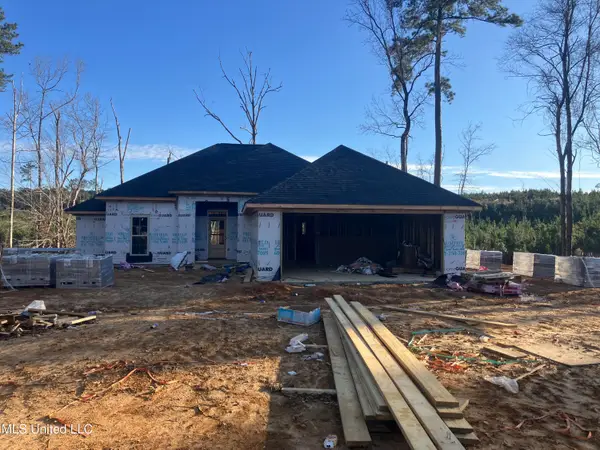 589 Mt Zion Road, Wesson, MS 39191