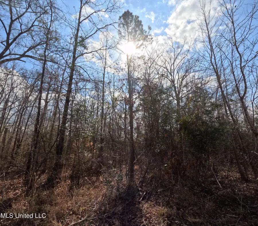 Rockport New Hebron Road, Newhebron, MS 39140 - #3