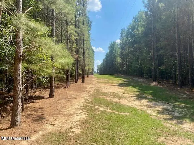 Adams Road, Smithdale, MS 39664 - #2