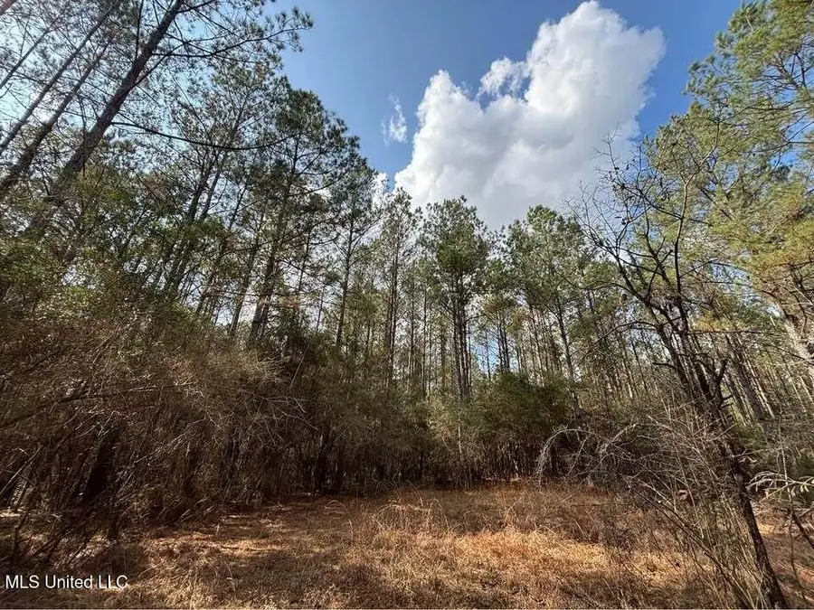 48135 Louisiana 438, Franklinton, LA 70438 - #2