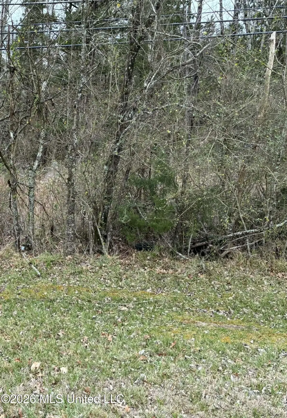 Old Vicksburg Rd Road, Clinton, MS 39056 - #1