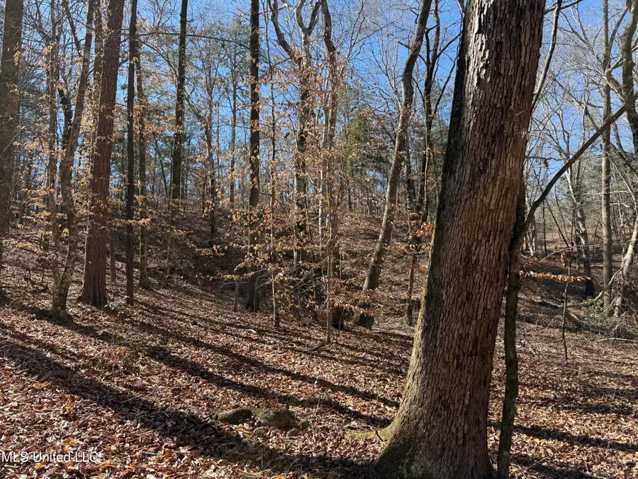 County Road 186, Coffeeville, MS 38922 - #2