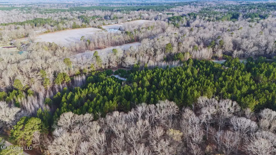 2046 Mitchell Road, Crystal Springs, MS 39059 - #2