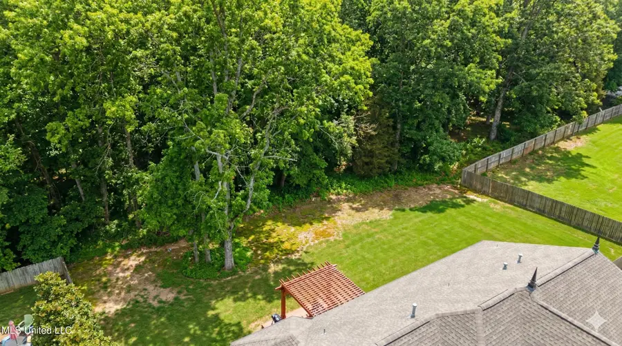 14185 Chapel Ridge Trail, Olive Branch, MS 38654 - #2