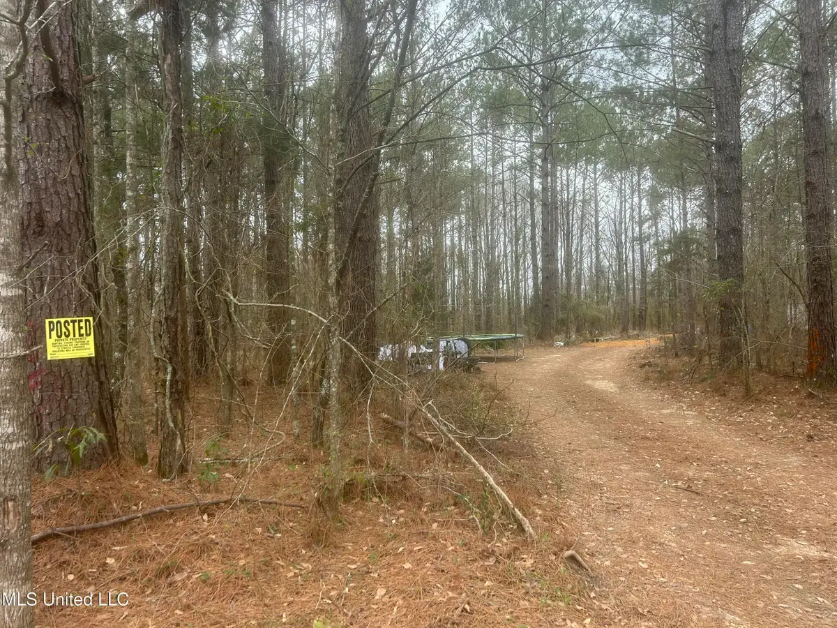 1061, 1040 NE Williams Street, Brookhaven, MS 39601 - #1