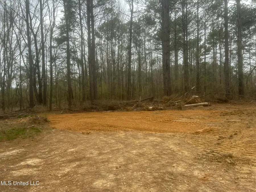 1061, 1040 NE Williams Street, Brookhaven, MS 39601 - #3