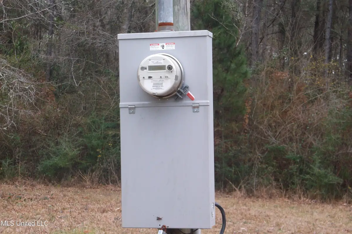 1021 Austin Smith Road, Ruth, MS 39662 - #1