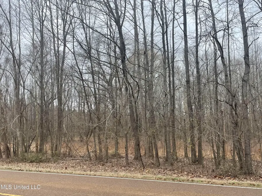 Looxahoma Tyro Road, Senatobia, MS 38668 - #2