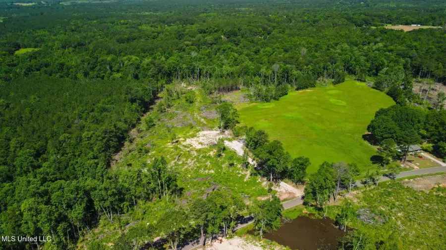 Parcel C S Mill Creek Road, Purvis, MS 39475 - #2
