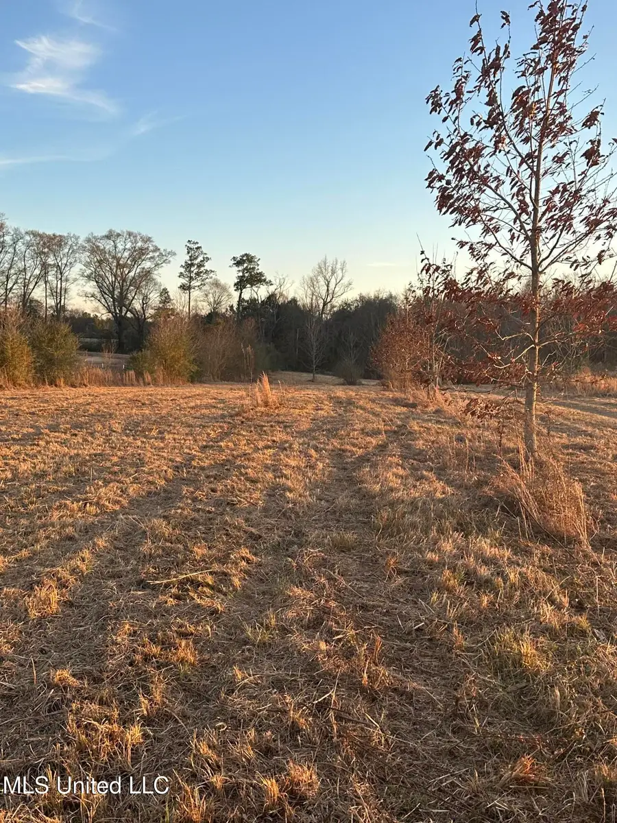 000 Ovelle Lee Road, Poplarville, MS 39470 - #2