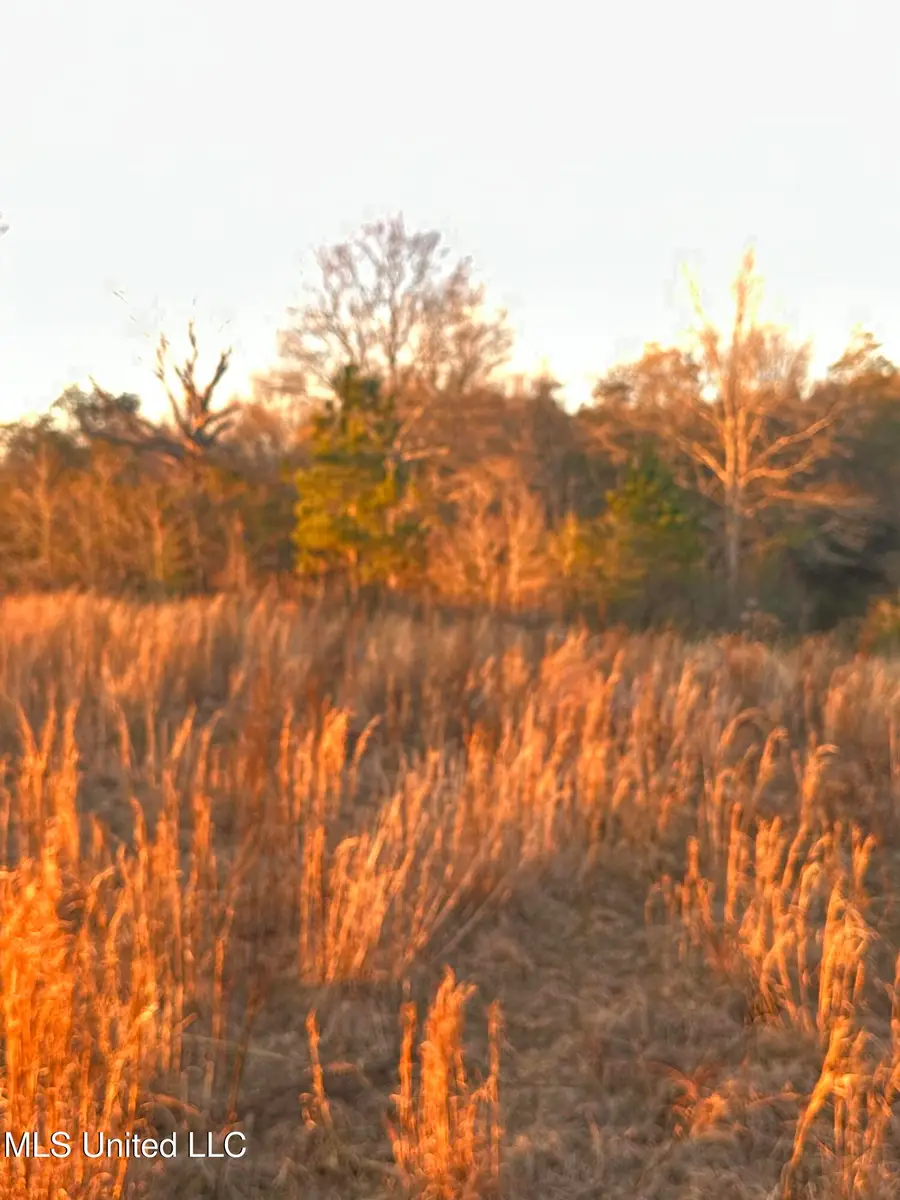 000 Ovelle Lee Road, Poplarville, MS 39470 - #3