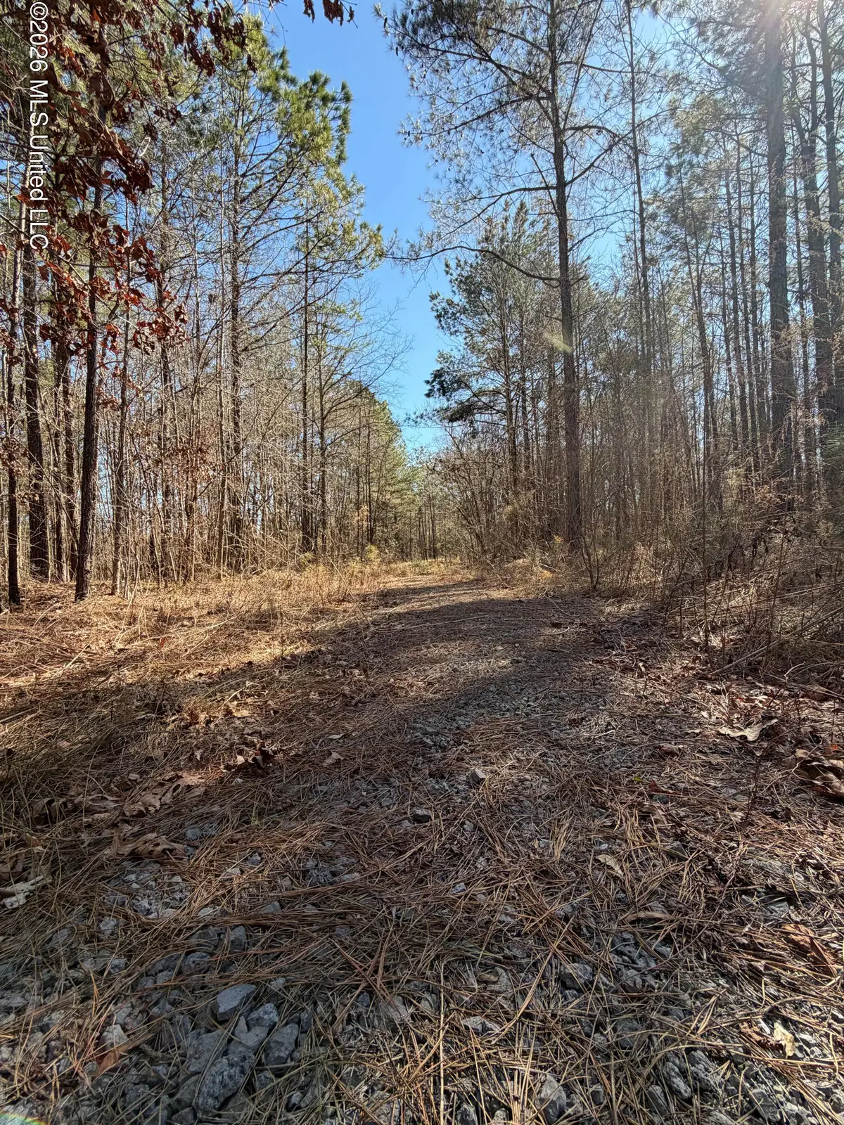 2001 Reed Road, Ackerman, MS 39735 - #1
