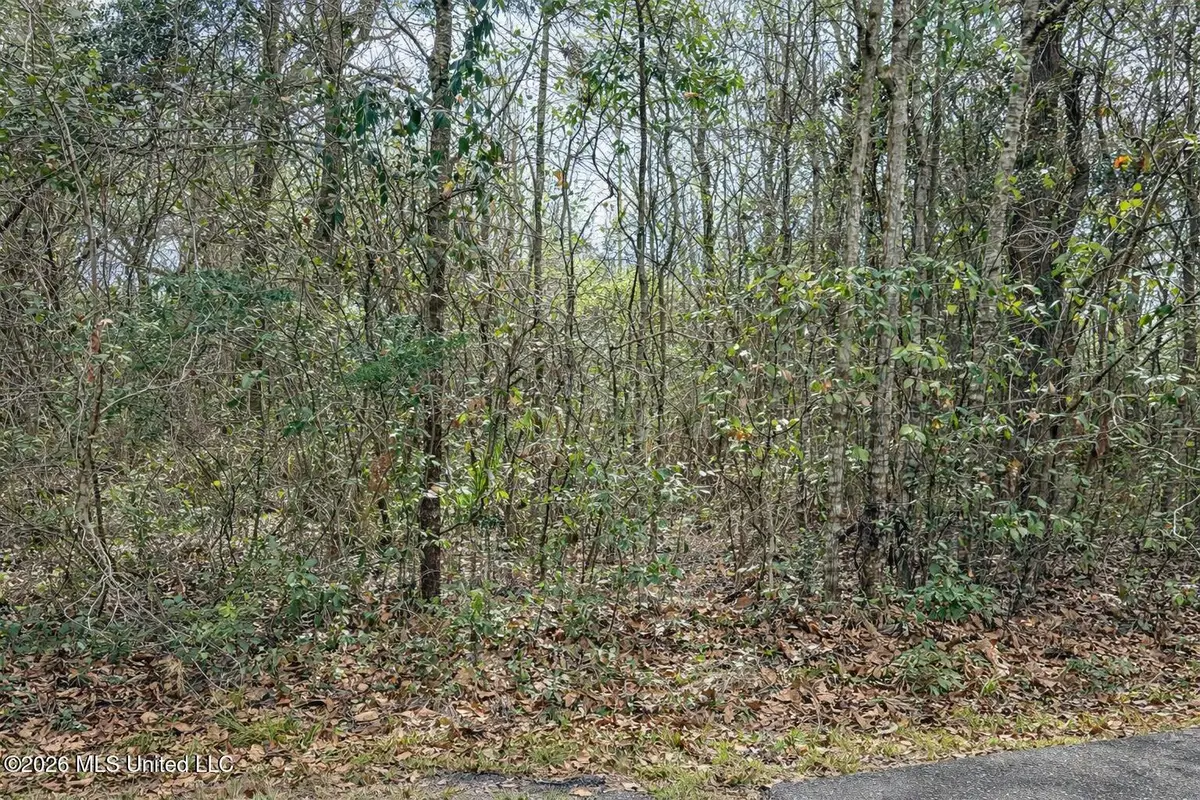 Live Oak Avenue, Ocean Springs, MS 39564 - #1