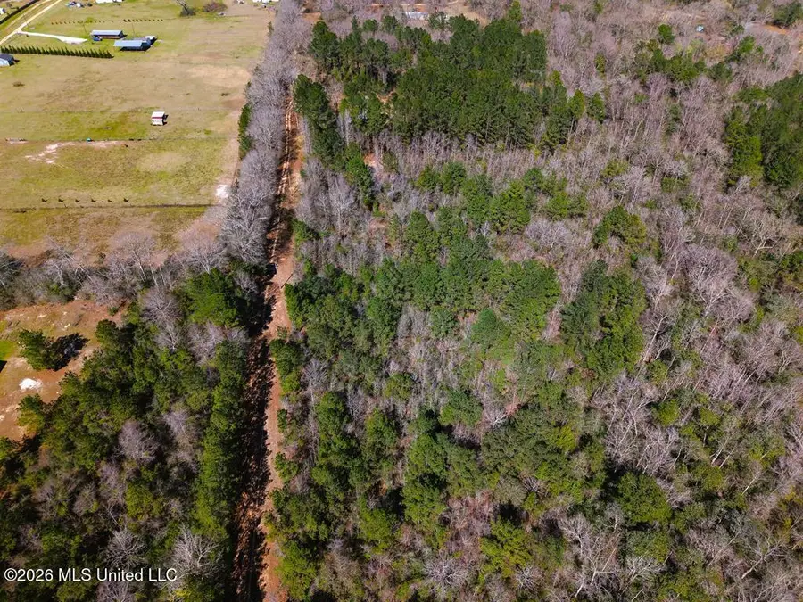 57 Benjamin Lane, Poplarville, MS 39470 - #2