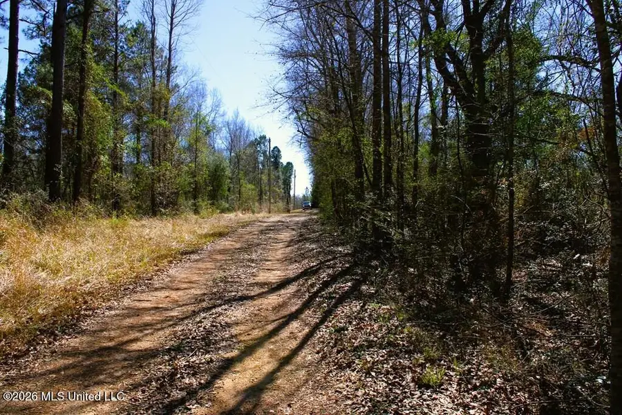 57 Benjamin Lane, Poplarville, MS 39470 - #3