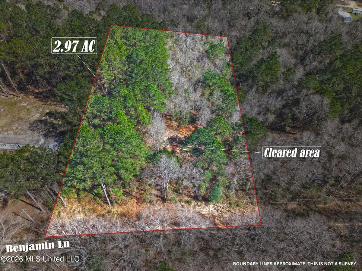 Lot 1 Benjamin Lane, Poplarville, MS 39470 - #1