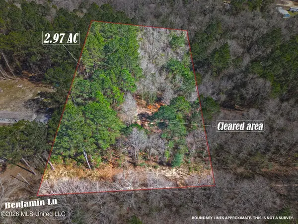 Lot 1 Benjamin Lane, Poplarville, MS 39470