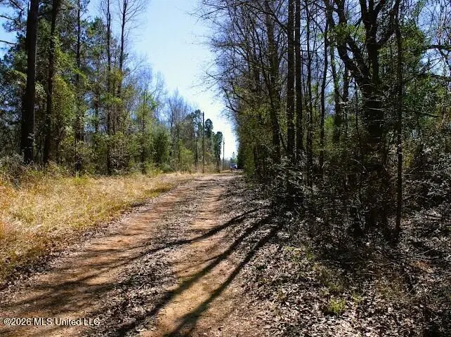 Lot 1 Benjamin Lane, Poplarville, MS 39470 - #2
