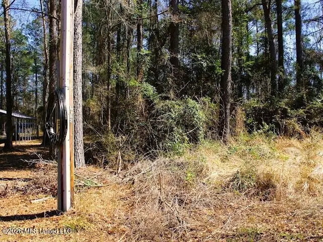 Lot 1 Benjamin Lane, Poplarville, MS 39470 - #3