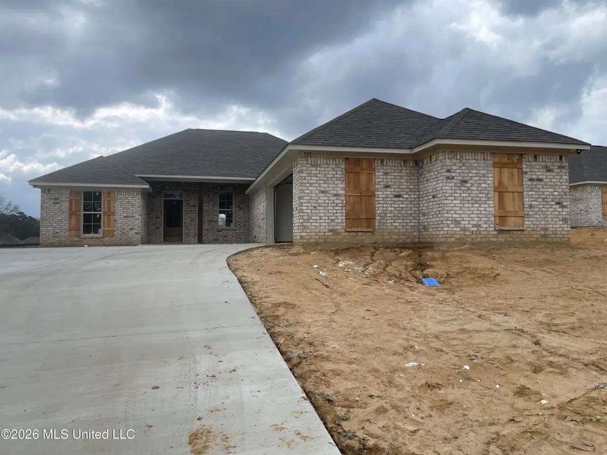 537 Patrick Farms Drive, Pearl, MS 39208 - #1