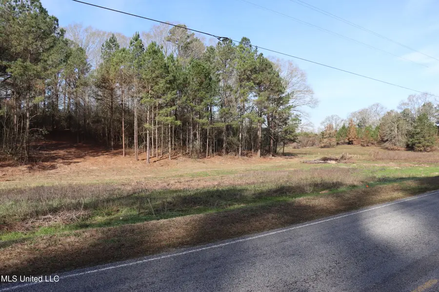 1270 Hilt Fornea Road, Poplarville, MS 39470 - #3