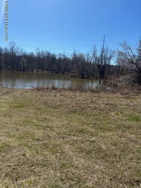 4587 Grazeland Drive, Olive Branch, MS 38654 - #1