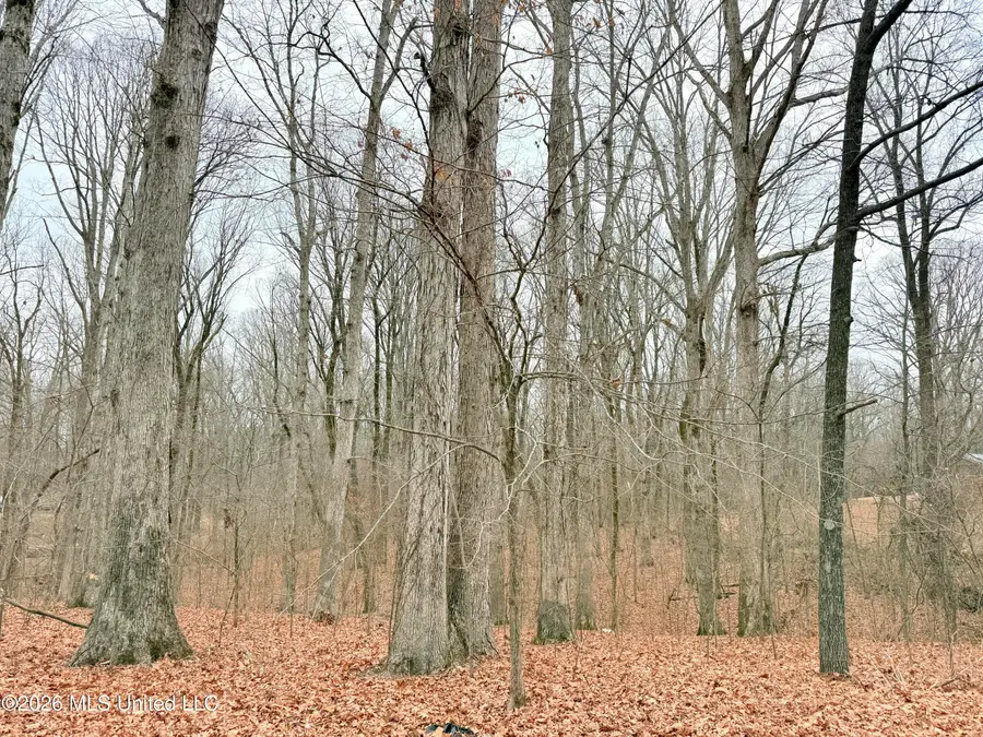 Pioneer Village Road, Senatobia, MS 38668 - #2