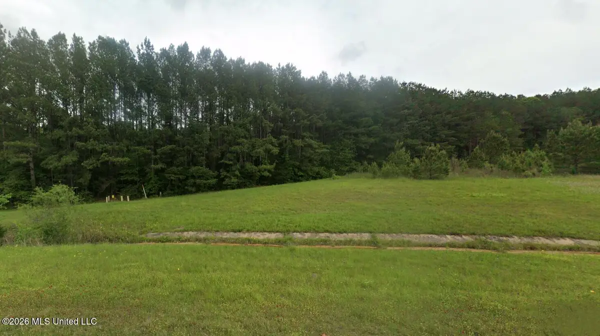 Highway 45n, Waynesboro, MS 39367 - #1