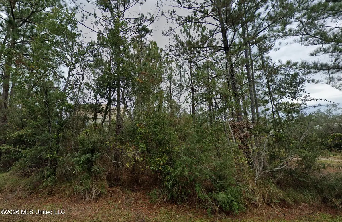 Dolphin Street, Bay Saint Louis, MS 39520 - #1