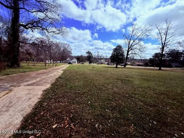 417 Franklinton Street, Tylertown, MS 39667 - #3