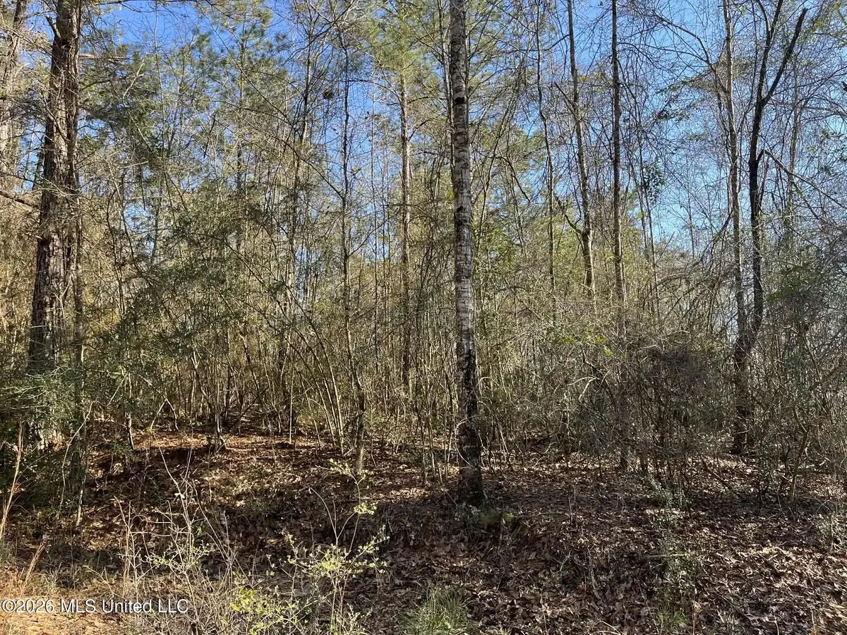 Lot197 W Woodland Drive, Lumberton, MS 39455 - #1