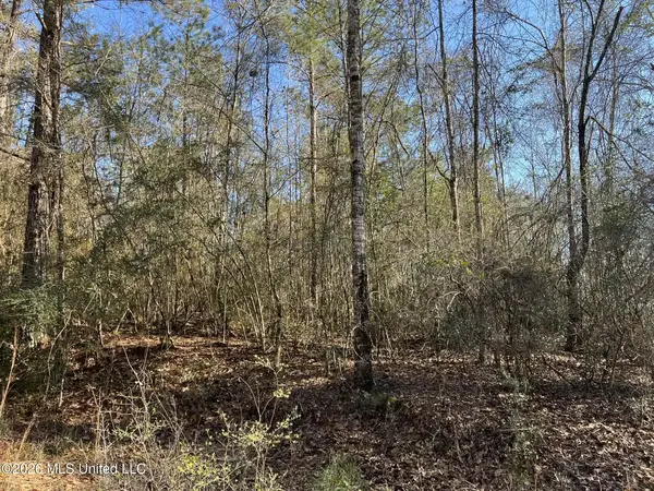 Lot197 W Woodland Drive, Lumberton, MS 39455