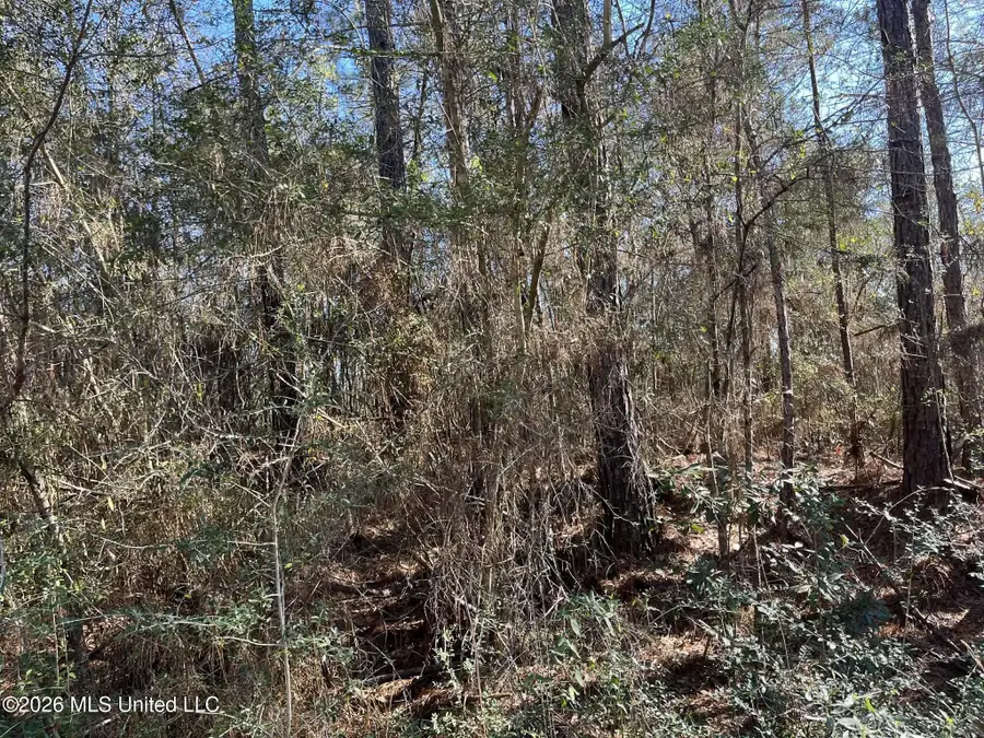Lot197 W Woodland Drive, Lumberton, MS 39455 - #3