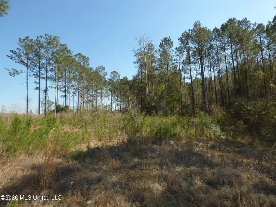 0000 C D Rayborn Road, Jayess, MS 39641 - #3