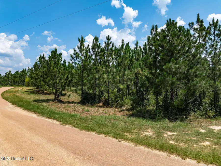 10 Acres Frontier Bend, Hattiesburg, MS 39402 - #3