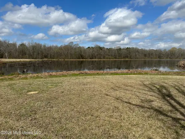10.2 Acres Barnes Road, Florence, MS 39073